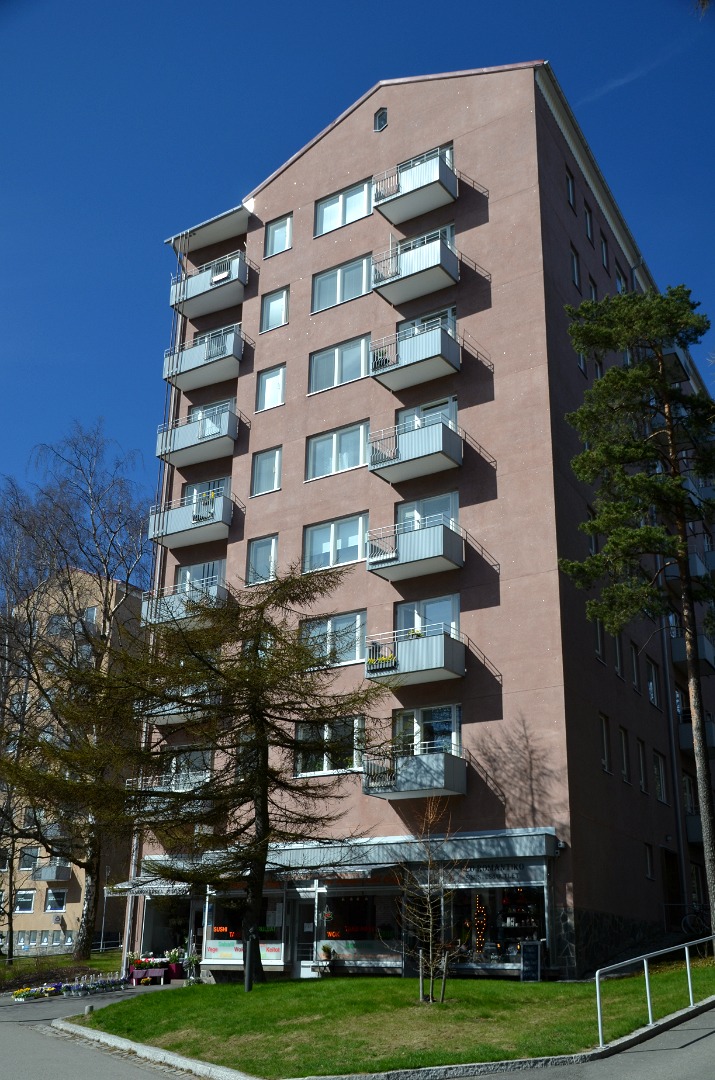 Sosionovan talo ulkoa